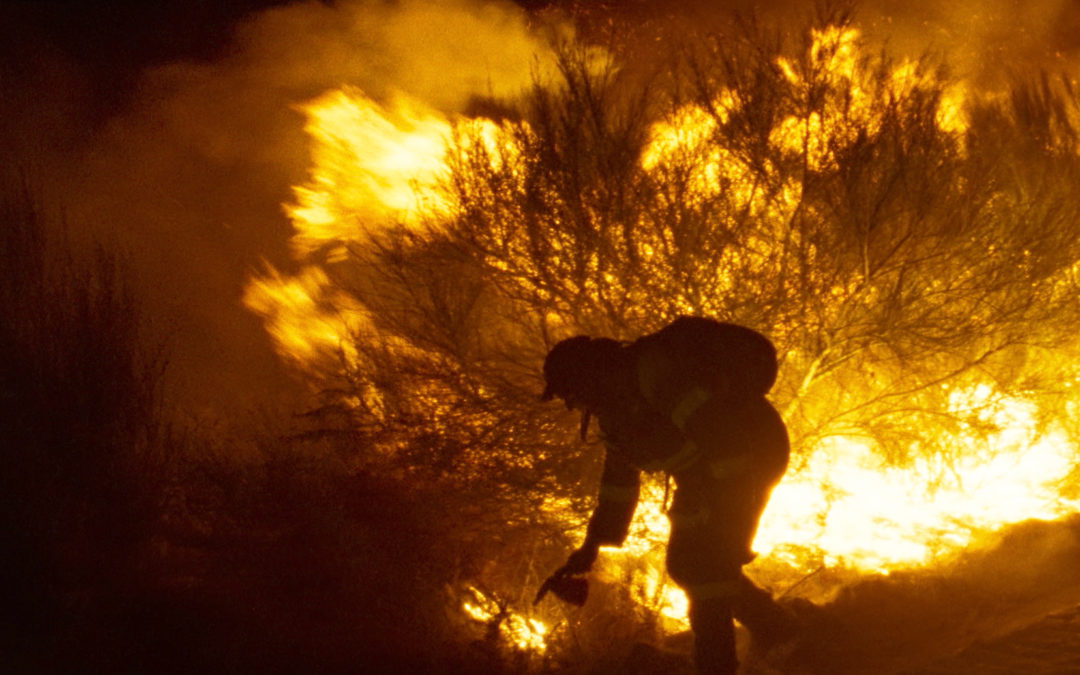 Viendra le feu