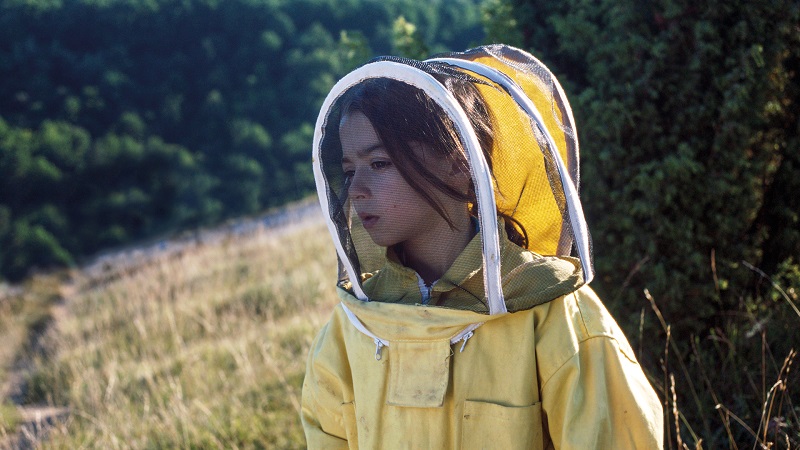 20000 espèces d’abeilles
